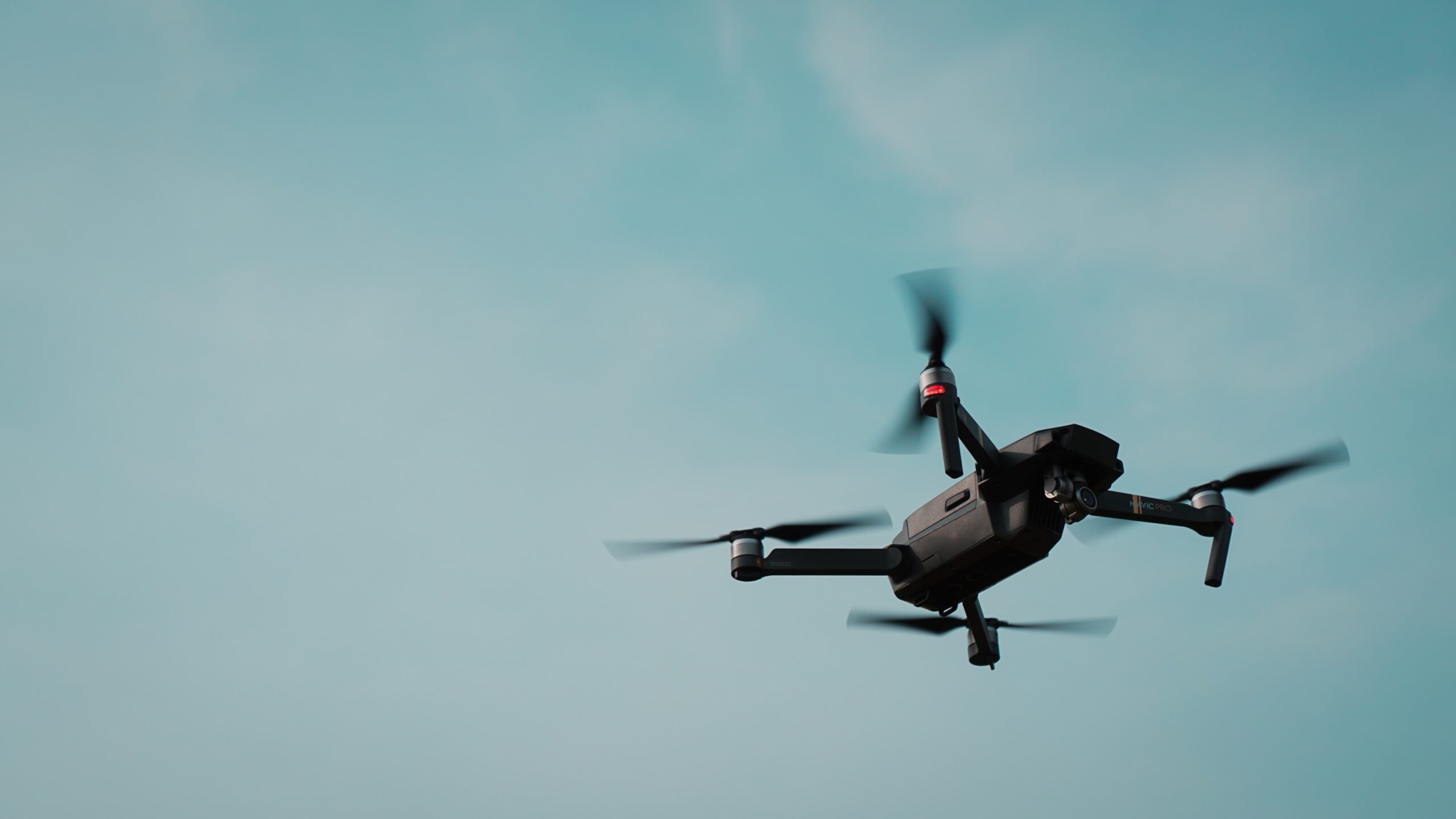 Startup canadense vai plantar 1 bilhão de árvores até 2028 usando drones